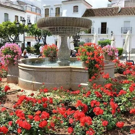 Xxii Morales&arnal * Estepona