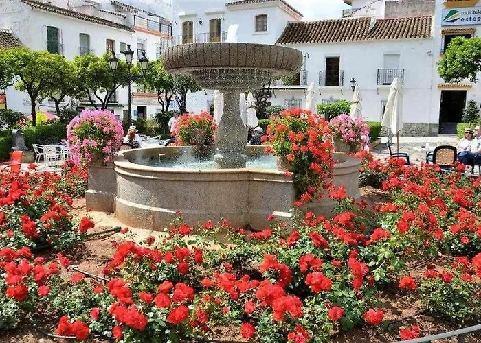 Xxii Morales&arnal * エステポナ